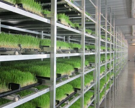 cropped-FodderSolutions.jpg